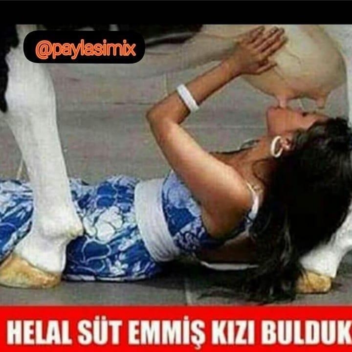 Serdar