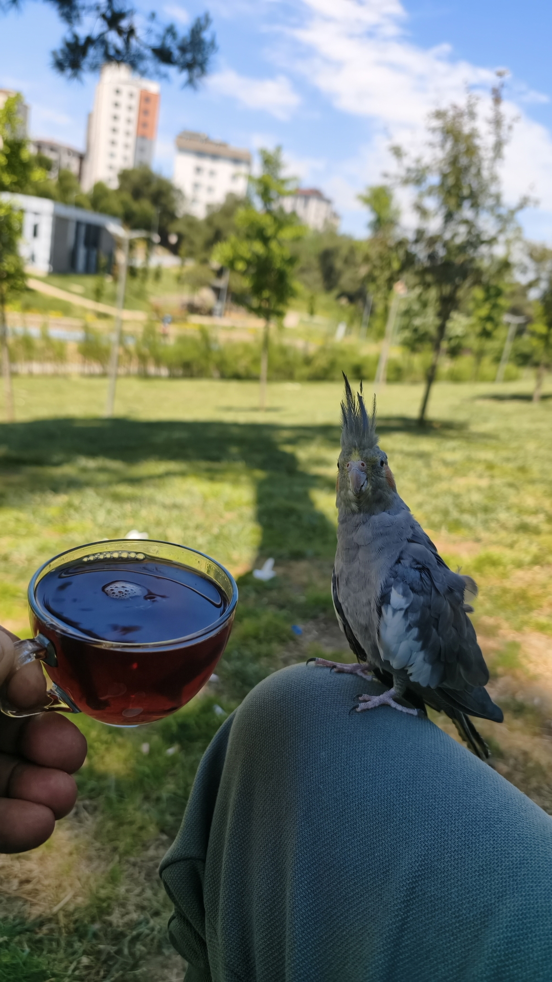 Hasan