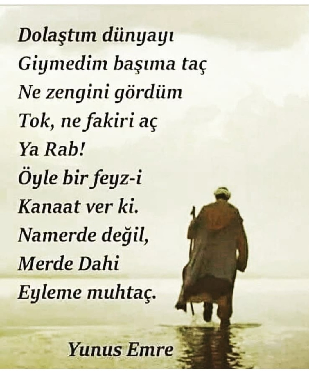 T C Yıldız