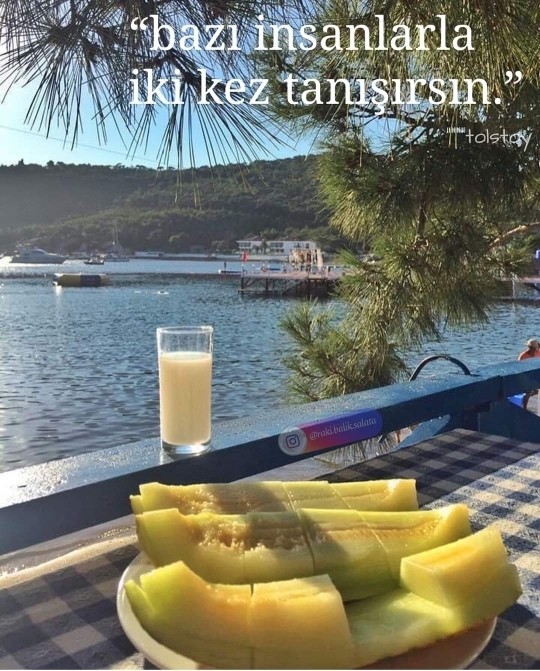 Ulvi
