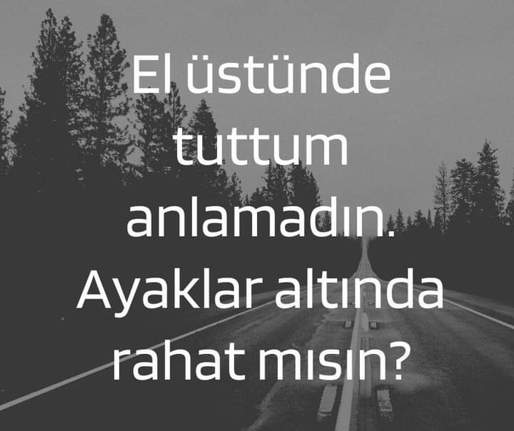 Şaziment