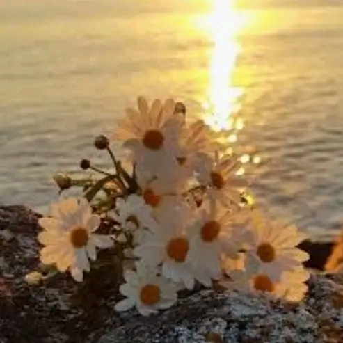 Uğur