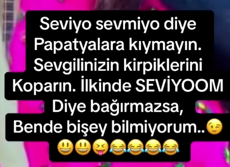 Aynur