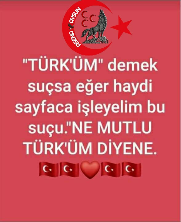 Aysun