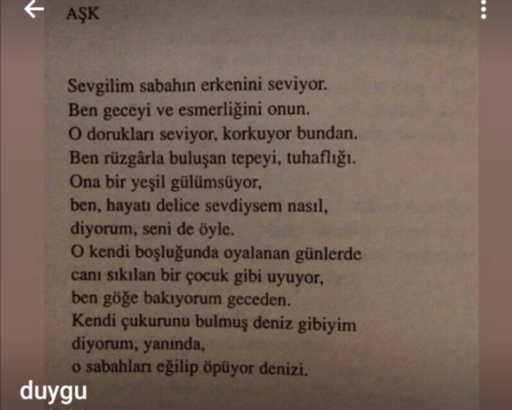 Duygu