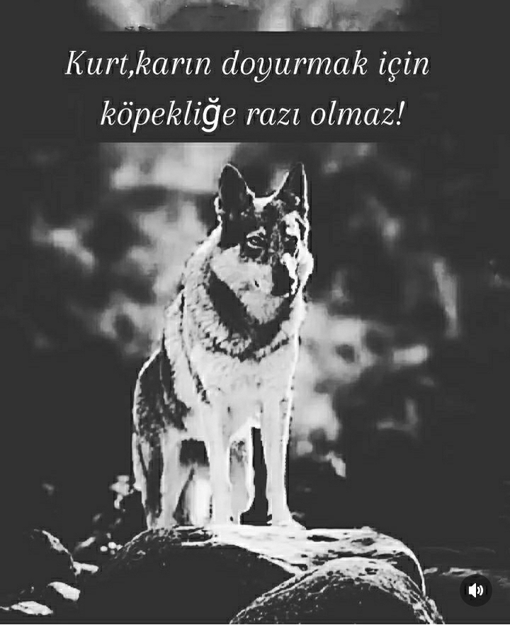 Özkan