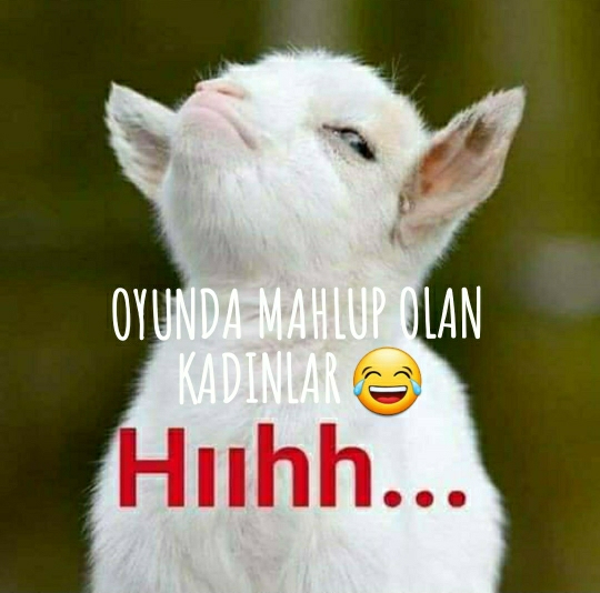 Knsvnc