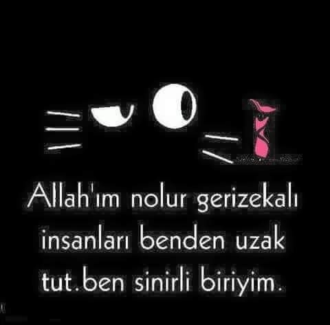 Deniz