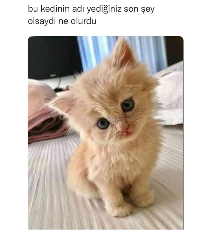 Oktay