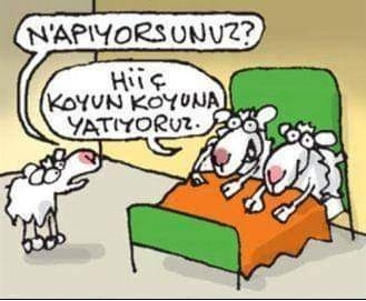 Serhat