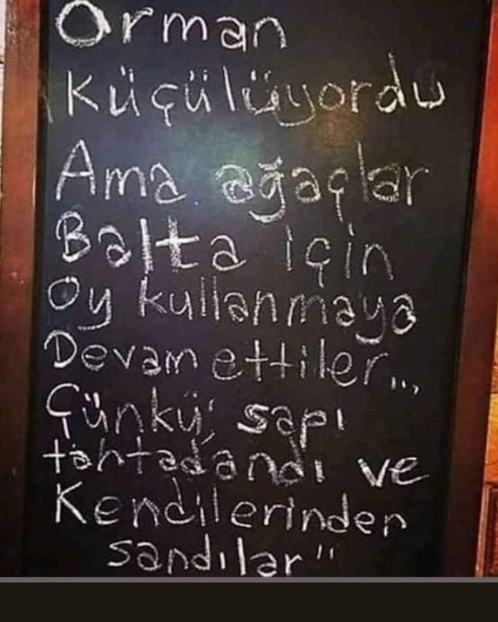 Şenol