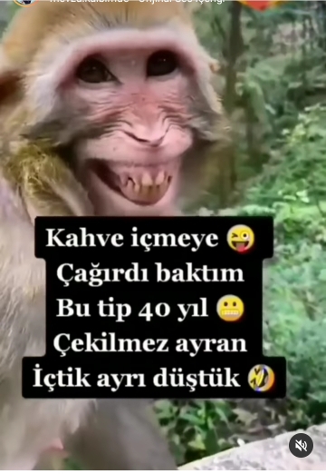 Seçil