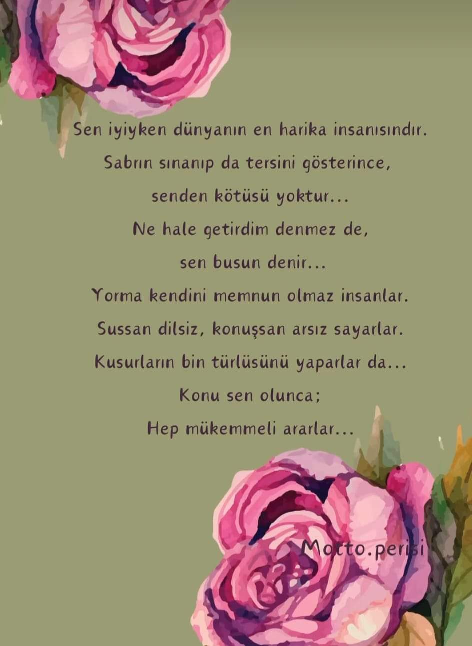 Gazel