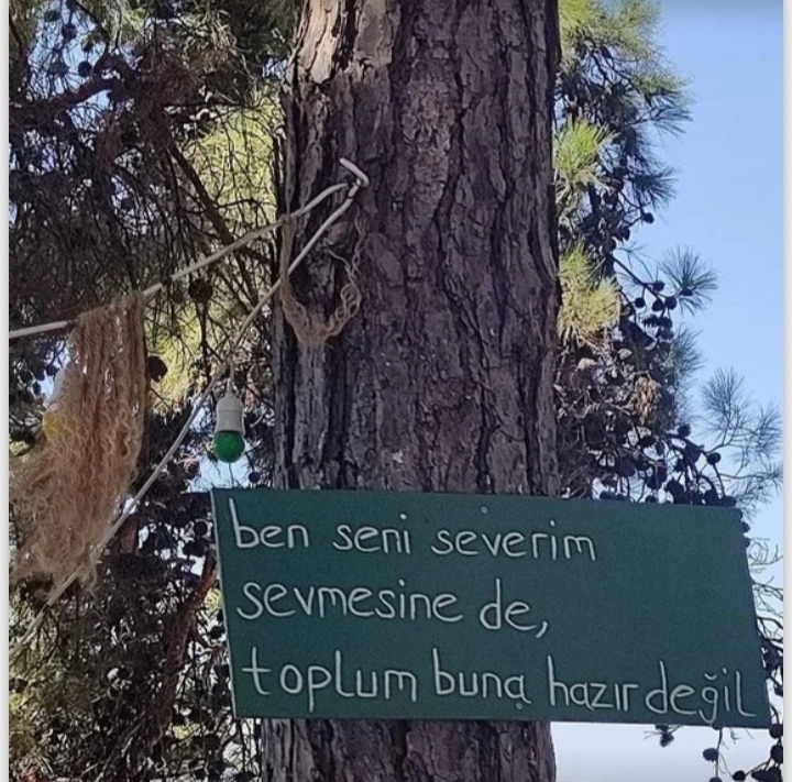 Yavuz