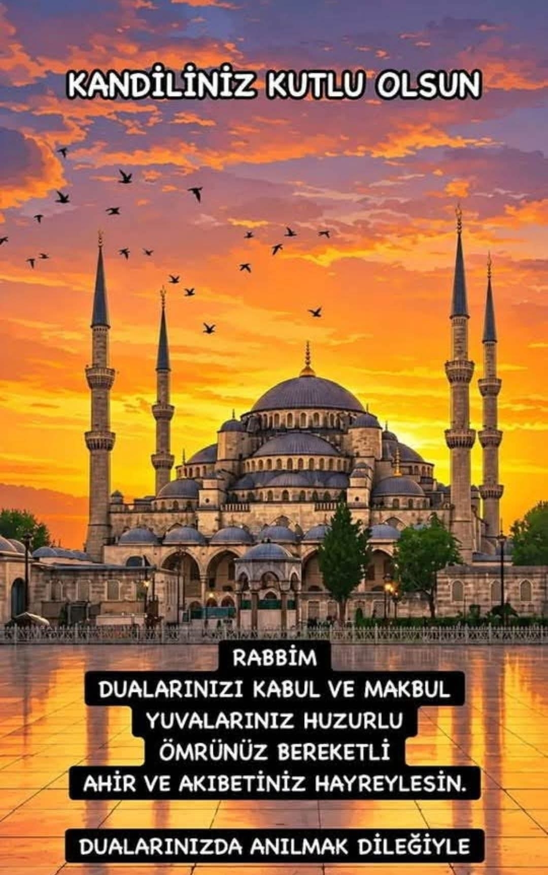 Erdoğan
