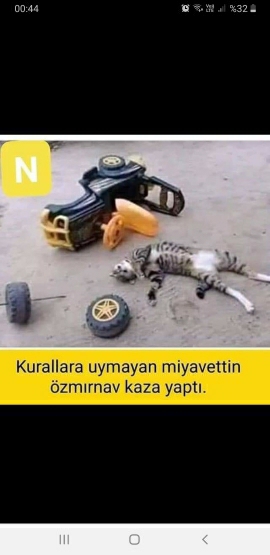 Cüneyt