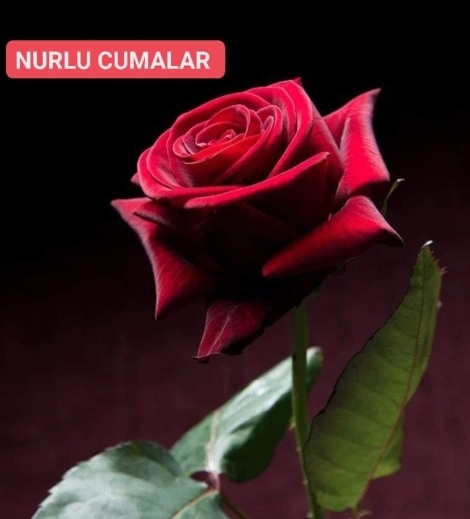 Uğur