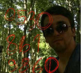 Murat