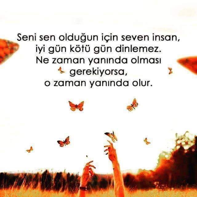 Gazel