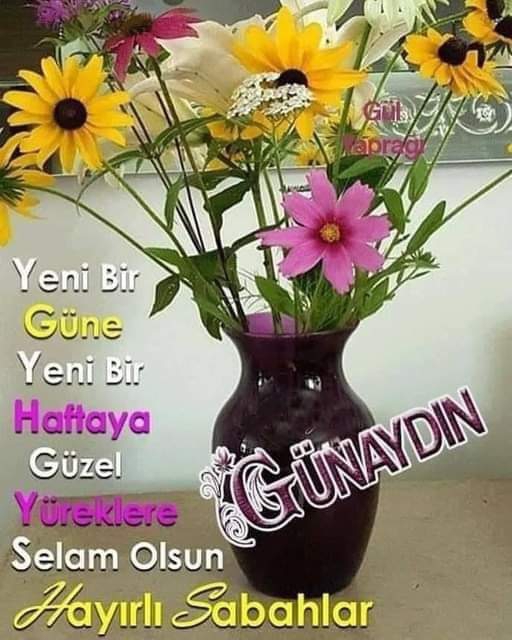 Melek