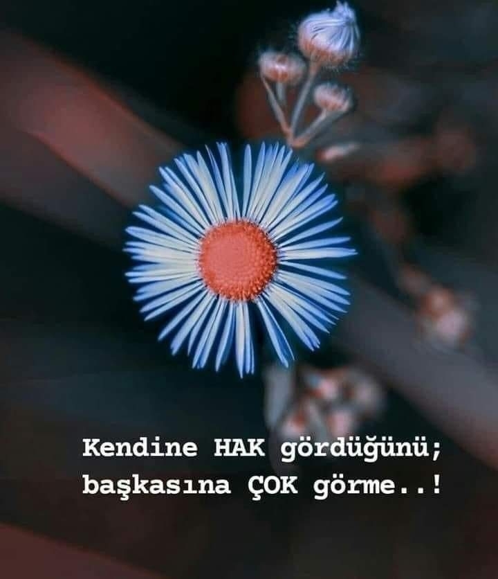 Ceyhan