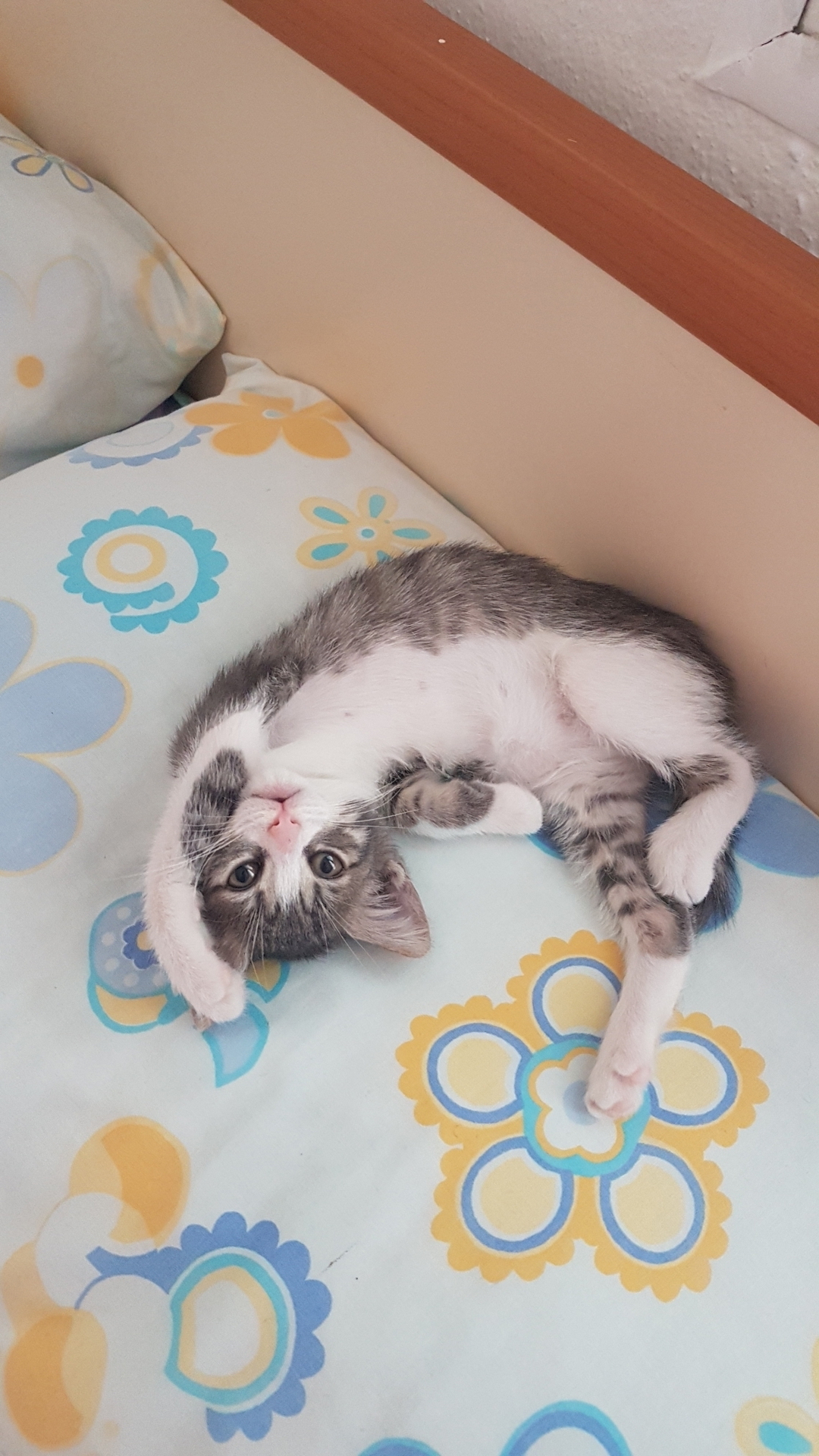 Nur
