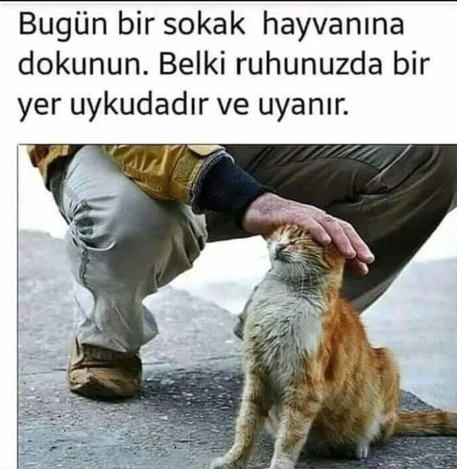 Yılmaz