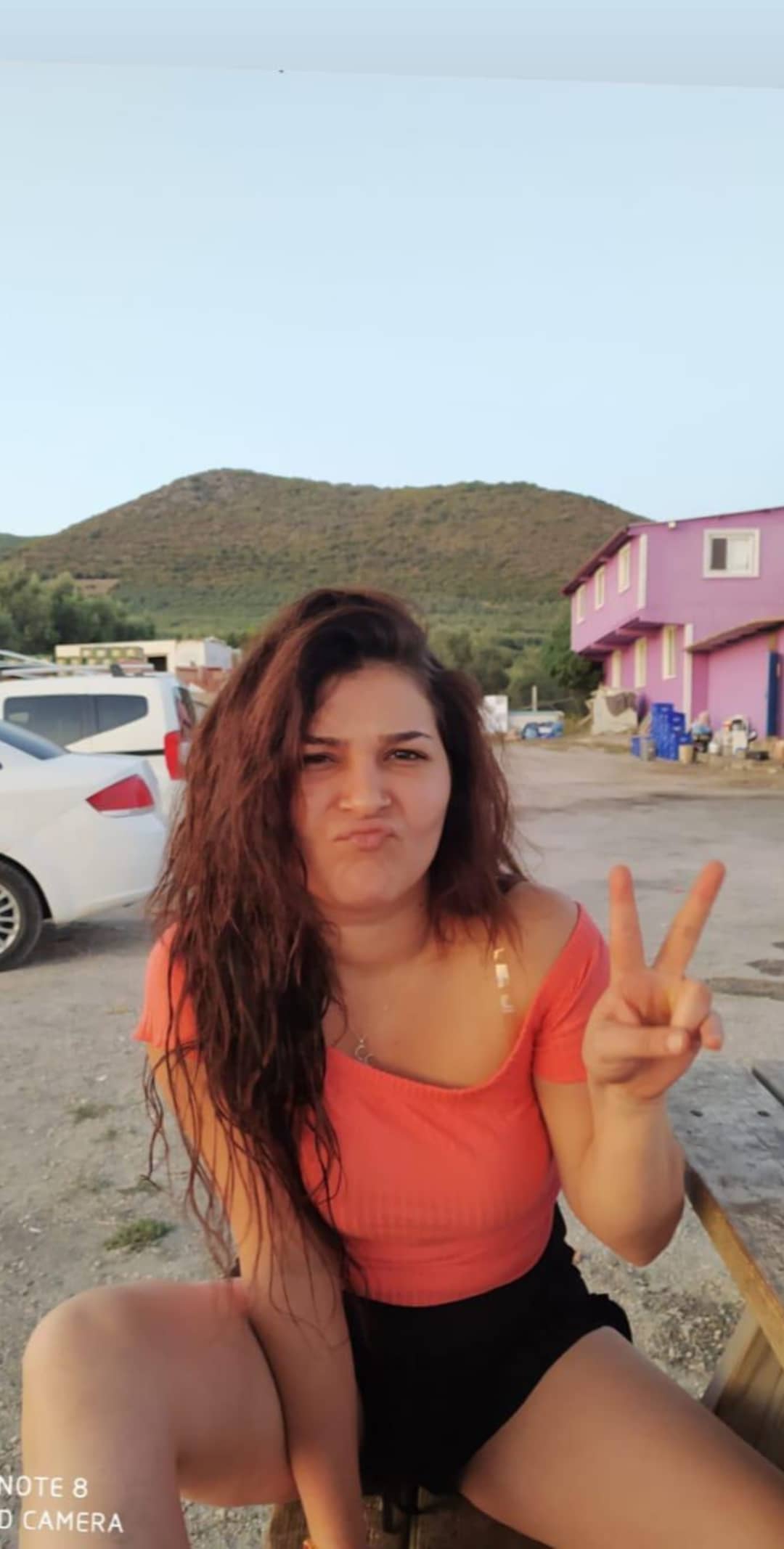 Selmarella