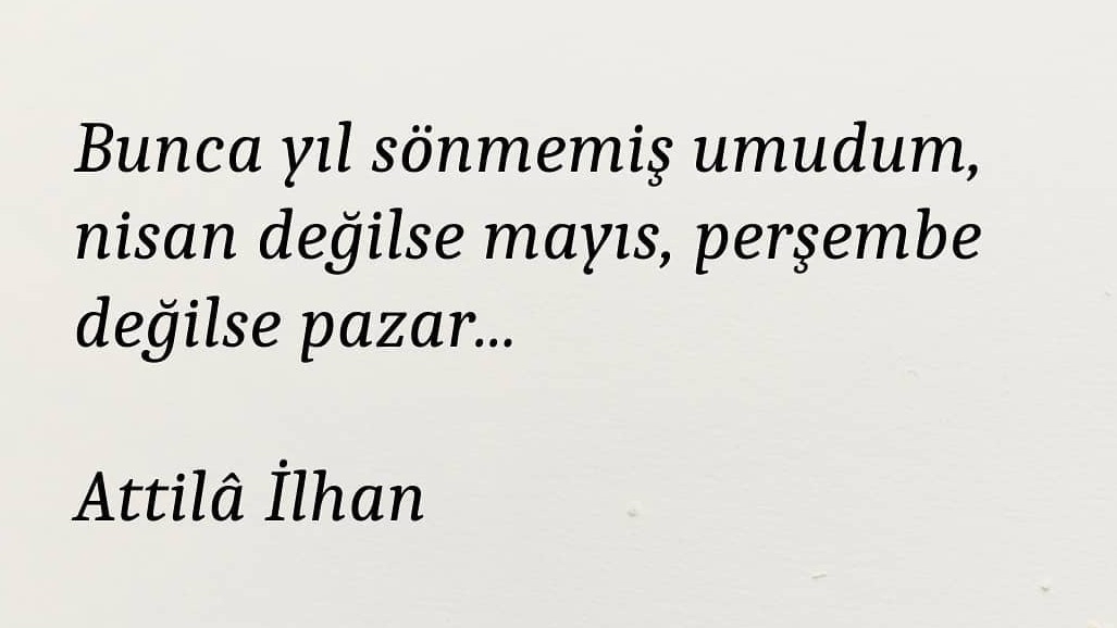 Besna