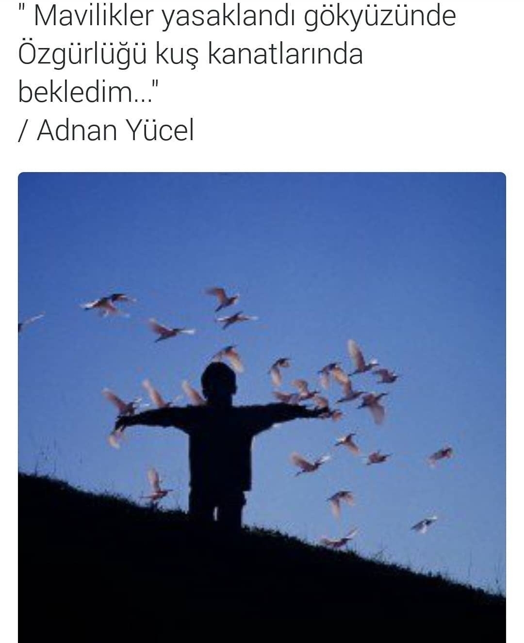 Sinan