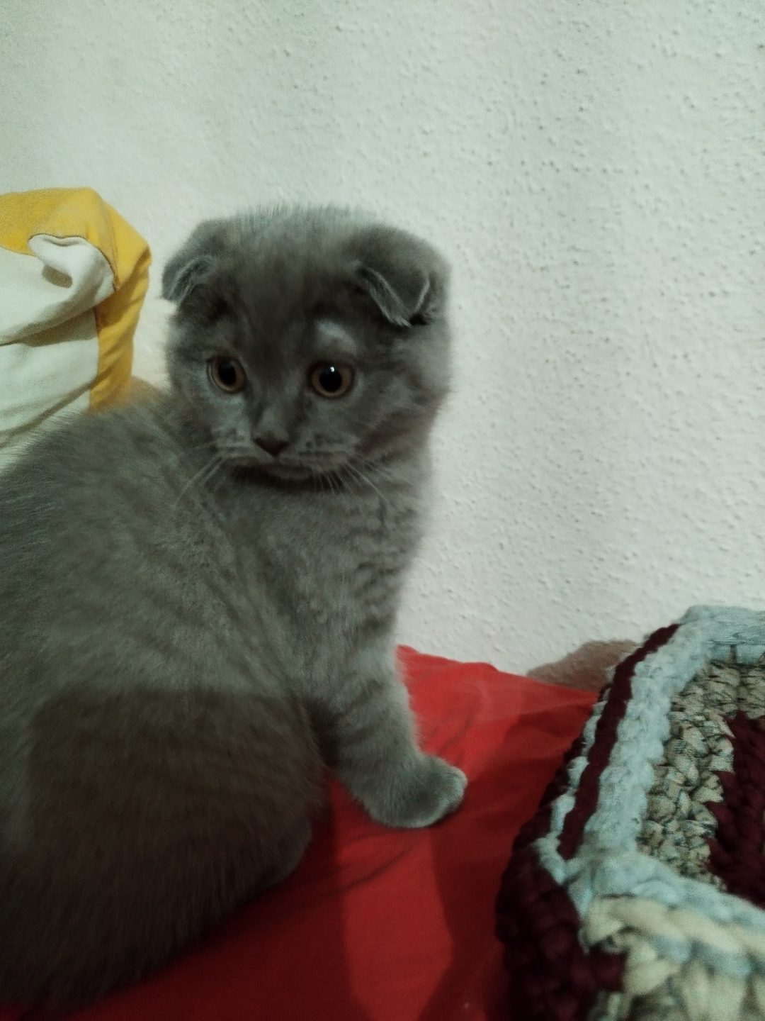 William
