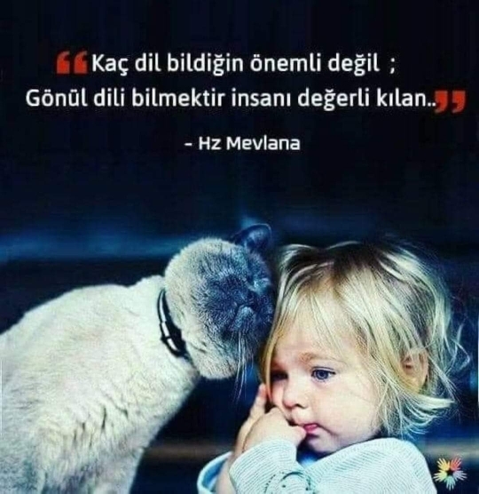 Deniz