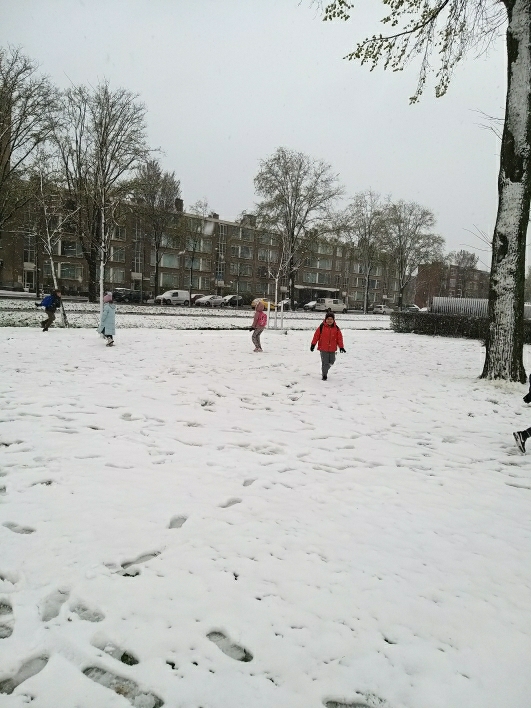 Hava