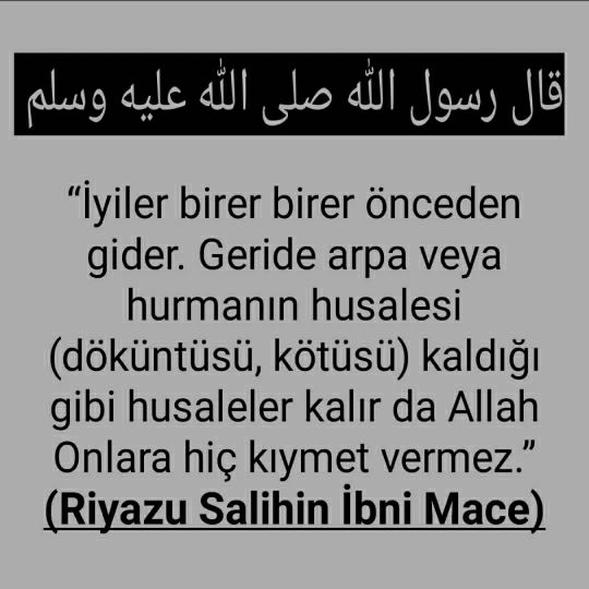 Hamit