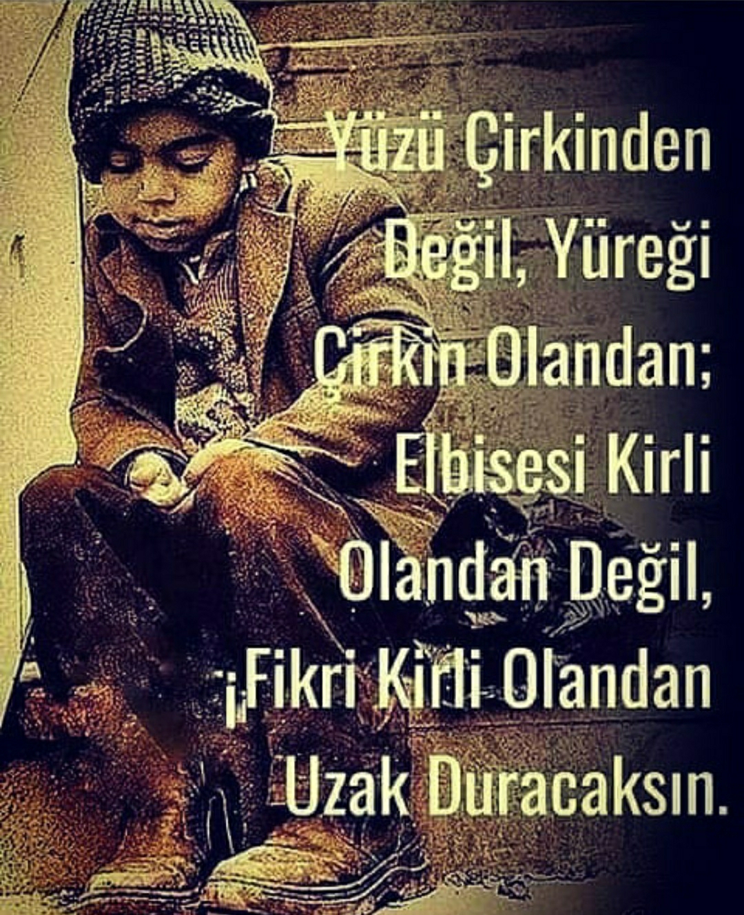 Aynur