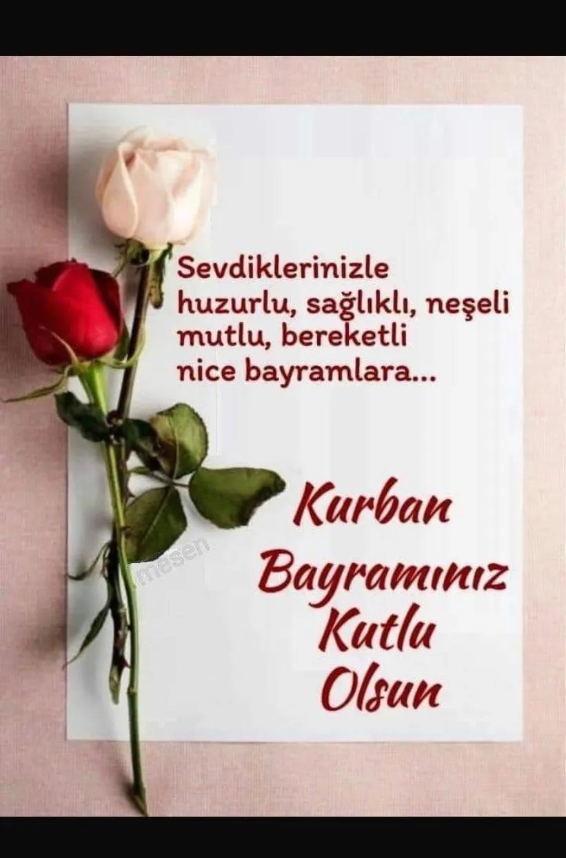 Turan