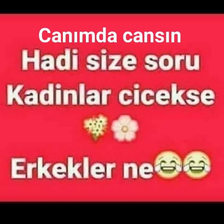 Serdar