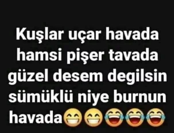 Serdar
