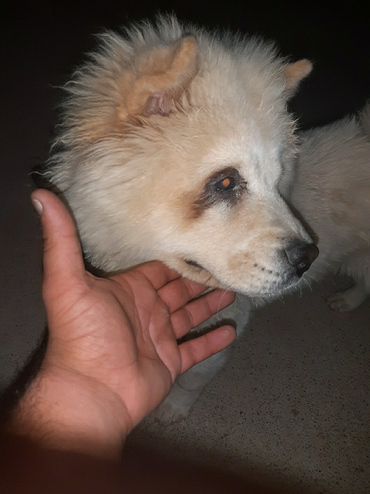 Atakan