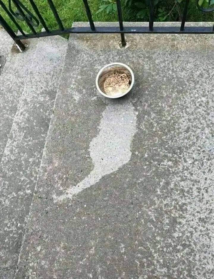 Erhnn