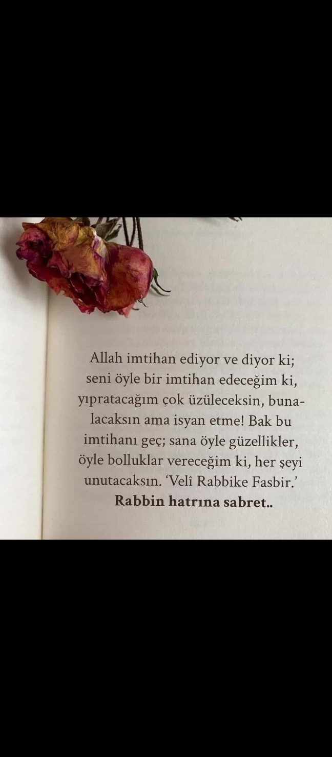 Gül