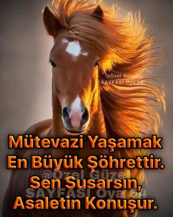 Cantane
