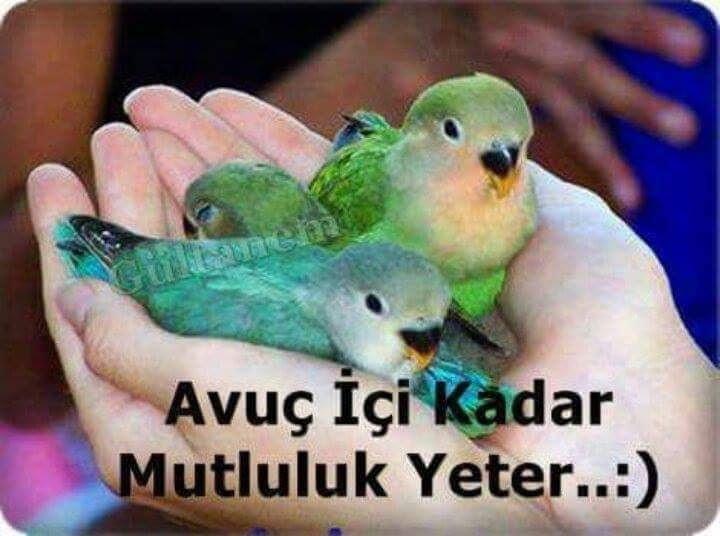 Uğur