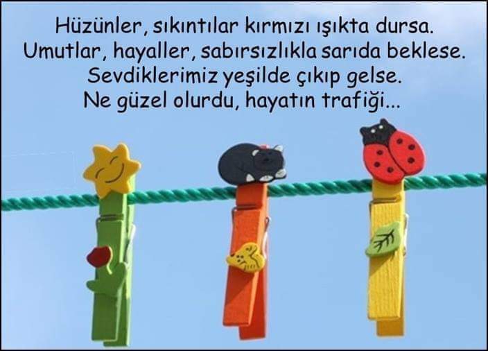 Gazel