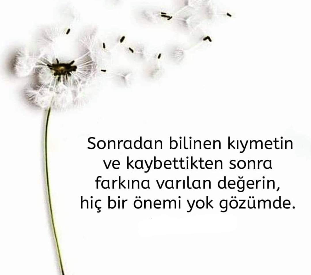 Gazel