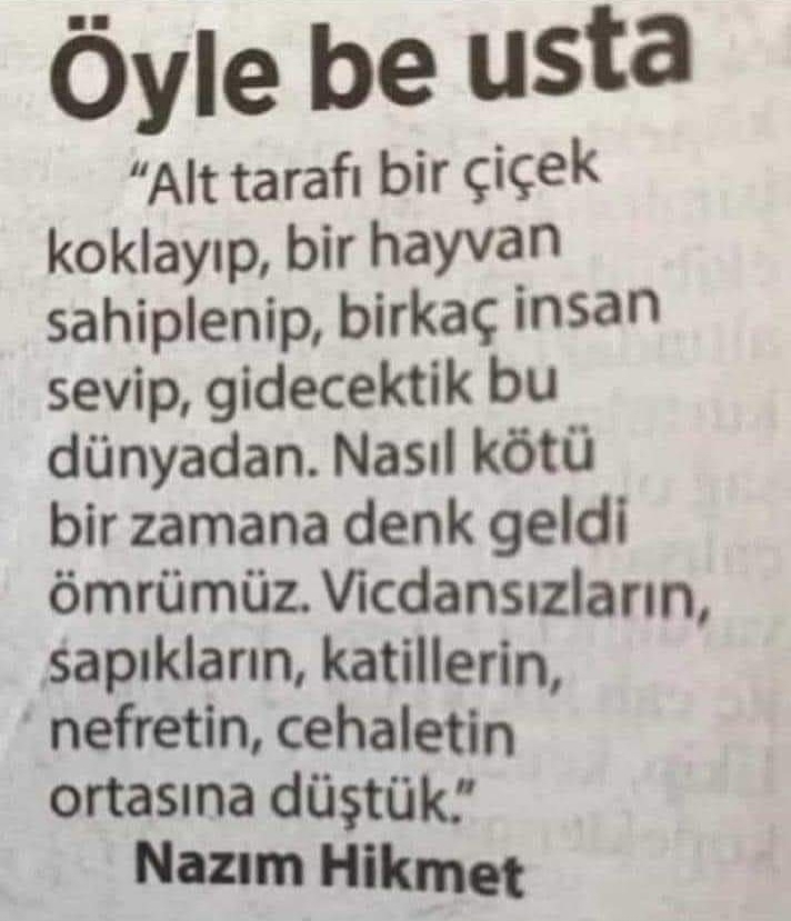 Temel