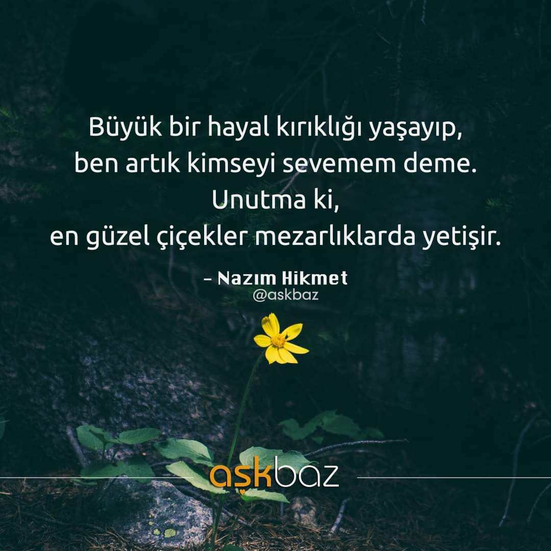 Gazel