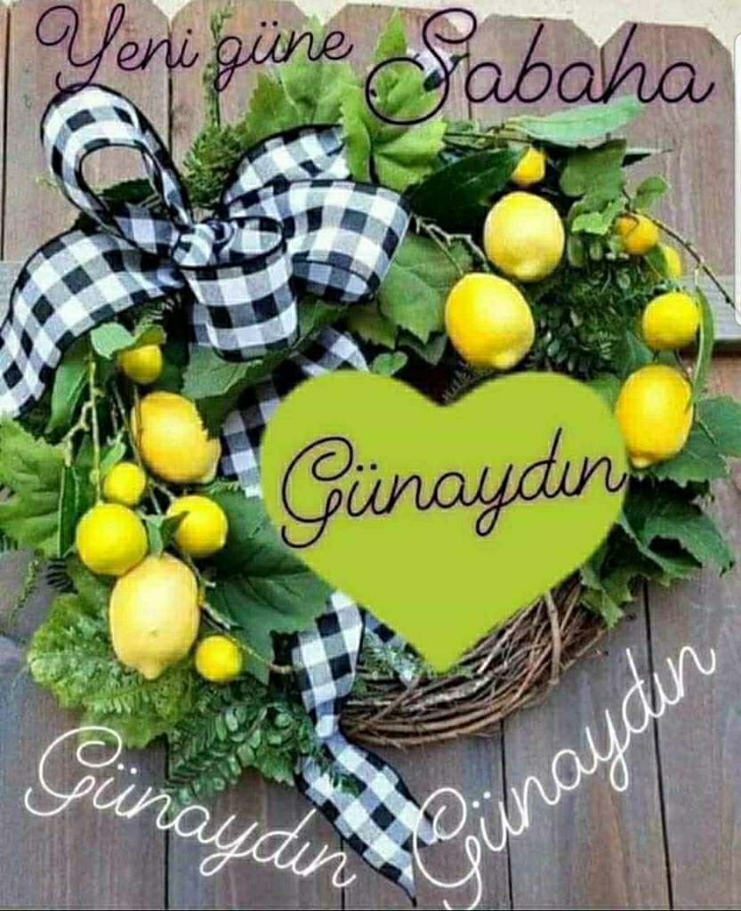 Aynur