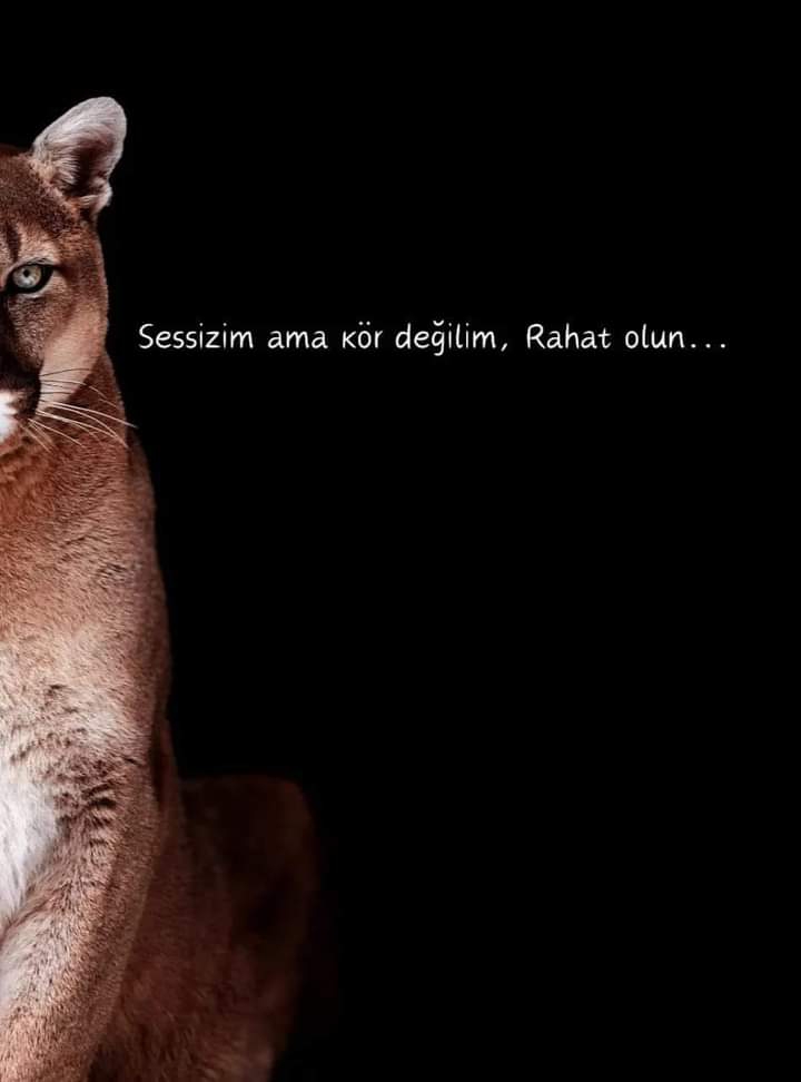 Yasemin