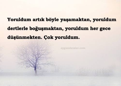 Engin